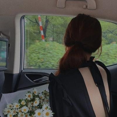 穿书古代我是太子的纨绔小舅子